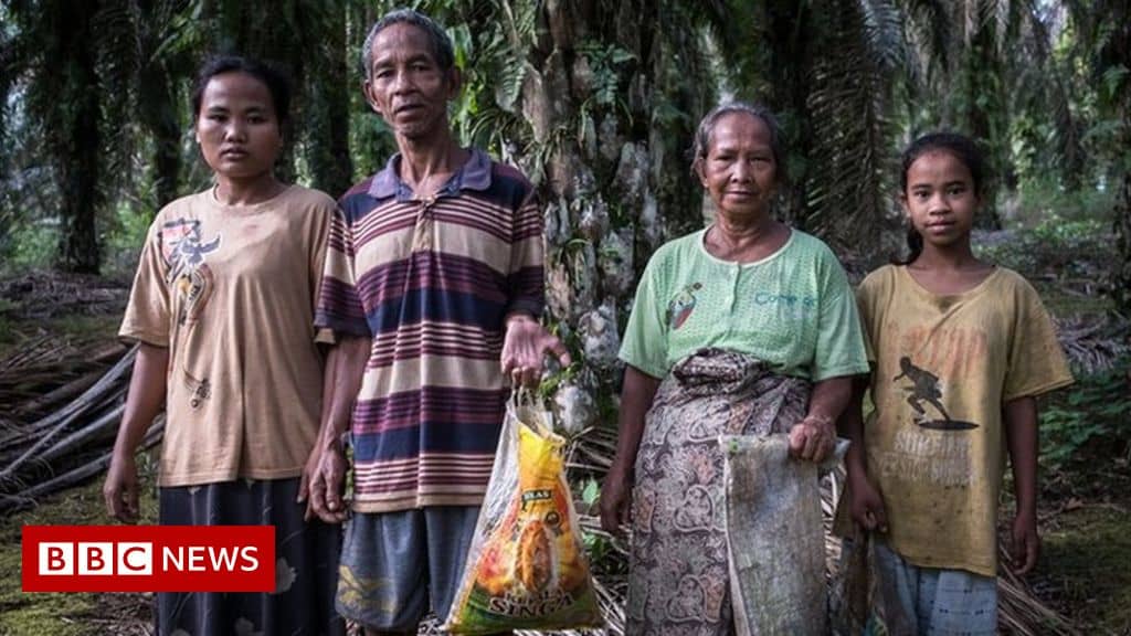 Palm oil firms depriving tribes of millions of dollars