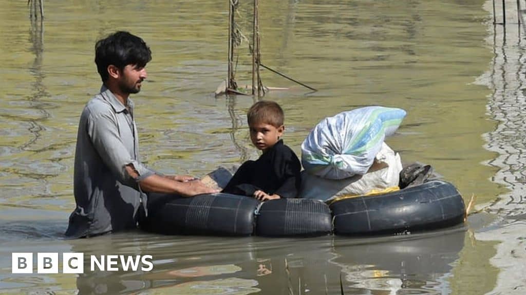 Pakistan floods: Disaster to cost more than $10bn, minister says