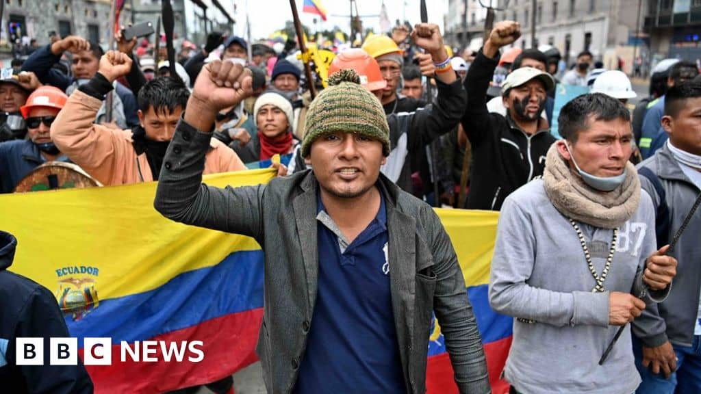 Fuel protests in more than 90 countries, BBC analysis